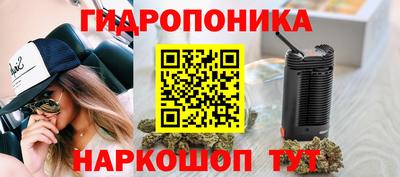 прущие грибы Нягань
