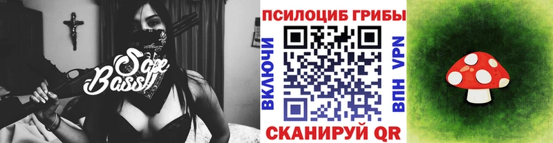 Галлюциногенные грибы Psilocybe  цены наркотик  Шебекино 
