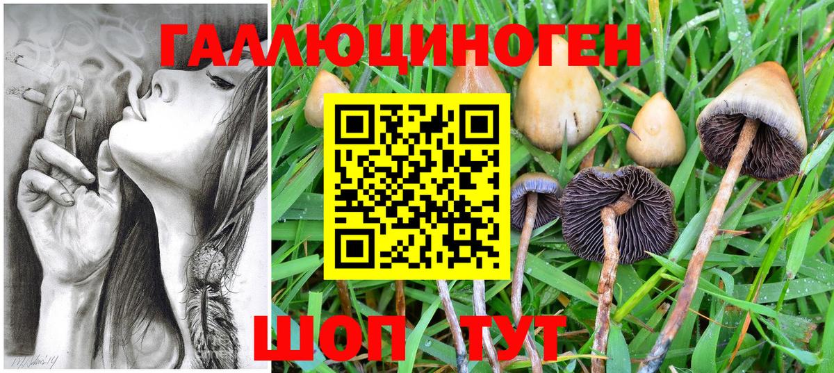 как найти закладки  Вход с VPN  Псилоцибиновые грибы Cubensis  Шебекино  Псилоцибиновые грибы мухоморы 