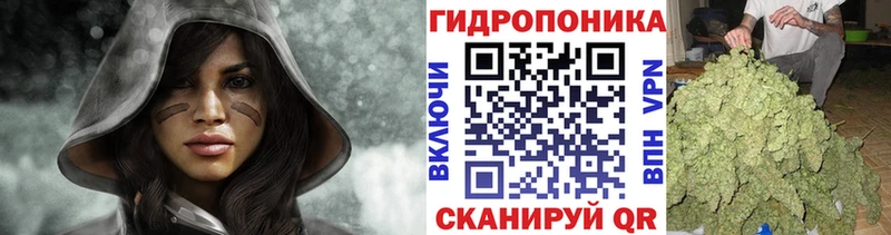 Конопля план Шебекино